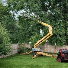 Professional  Tree Services in Hawkinsville, GA